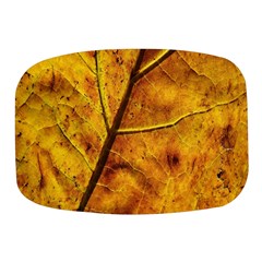 Leaf Leaf Veins Fall Mini Square Pill Box by artworkshop