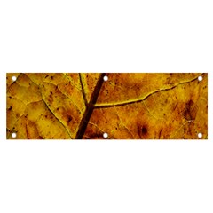 Leaf Leaf Veins Fall Banner And Sign 6  X 2  by artworkshop