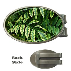 Leaves Foliage Twig Bush Plant Money Clips (oval) 