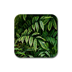 Leaves Foliage Twig Bush Plant Rubber Square Coaster (4 Pack) by artworkshop