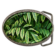 Leaves Foliage Twig Bush Plant Belt Buckles by artworkshop