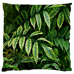 Leaves Foliage Twig Bush Plant Large Cushion Case (one Side) by artworkshop