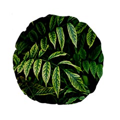 Leaves Foliage Twig Bush Plant Standard 15  Premium Round Cushions by artworkshop