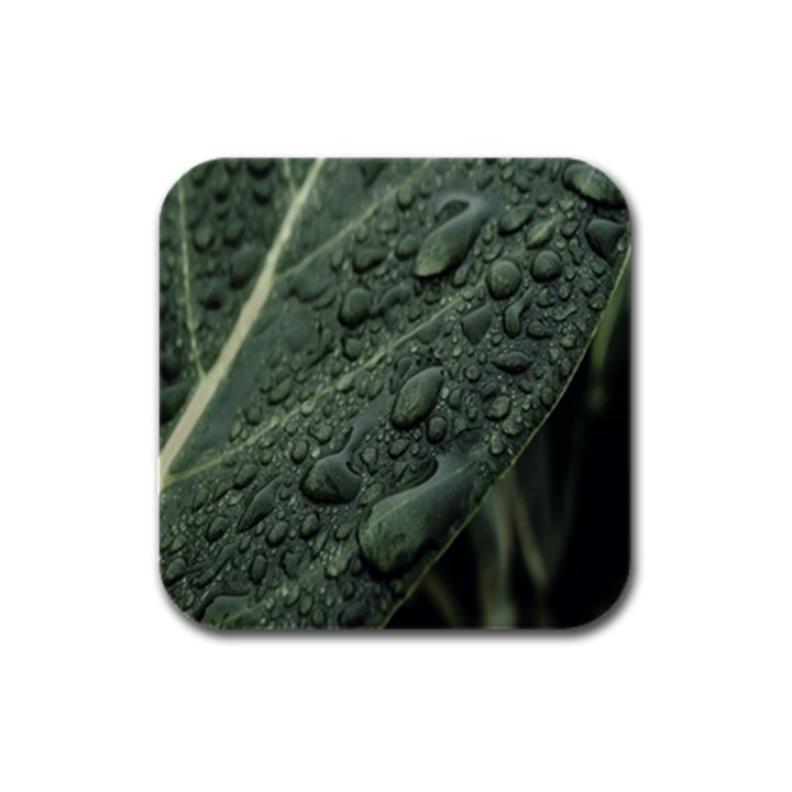 Leaves Water Drops Green  Rubber Square Coaster (4 pack)