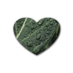 Leaves Water Drops Green  Rubber Heart Coaster (4 Pack) by artworkshop