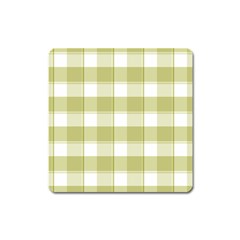 Green tea - White and green plaids Square Magnet