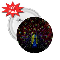 Beautiful Peacock Feather 2 25  Buttons (100 Pack) 