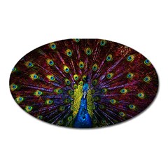 Beautiful Peacock Feather Oval Magnet