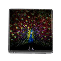 Beautiful Peacock Feather Memory Card Reader (square 5 Slot) by Jancukart