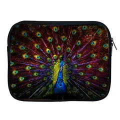 Beautiful Peacock Feather Apple Ipad 2/3/4 Zipper Cases by Jancukart