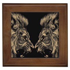 Animalsangry Male Lions Conflict Framed Tile