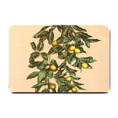 A Vintage Bunch Of Lemons Small Doormat  by ConteMonfrey