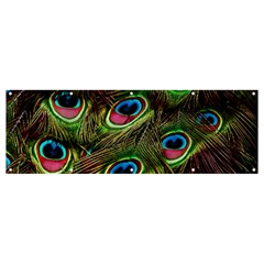 Peacock Feathers Color Plumage Banner And Sign 12  X 4  by Celenk