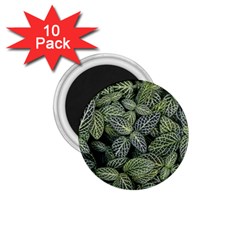 Leaves Foliage Botany Plant 1 75  Magnets (10 Pack)  by Ravend