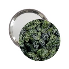 Leaves Foliage Botany Plant 2 25  Handbag Mirrors