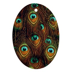Peacock Feathers Oval Ornament (two Sides) by Ravend