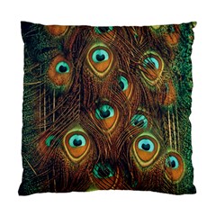 Peacock Feathers Standard Cushion Case (two Sides)