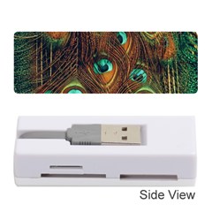 Peacock Feathers Memory Card Reader (stick)