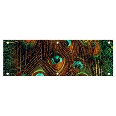 Peacock Feathers Banner And Sign 6  X 2 