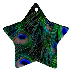 Beautiful Peacock Feathers Ornament (star)