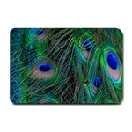 Beautiful Peacock Feathers Small Doormat  24 x16  Door Mat