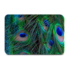 Beautiful Peacock Feathers Plate Mats