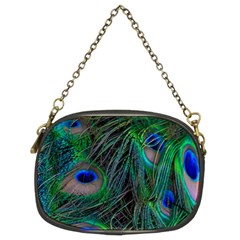 Beautiful Peacock Feathers Chain Purse (two Sides)