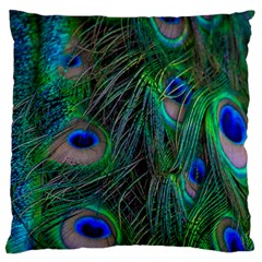 Beautiful Peacock Feathers Large Flano Cushion Case (two Sides) by Ravend