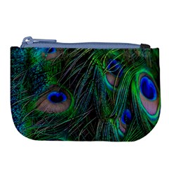 Beautiful Peacock Feathers Large Coin Purse