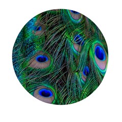 Beautiful Peacock Feathers Mini Round Pill Box (pack Of 3) by Ravend