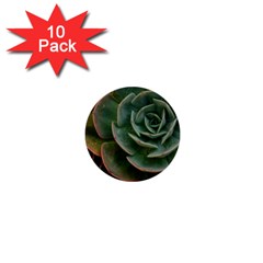 Green Orchid Plant Pattern 1  Mini Buttons (10 Pack) 