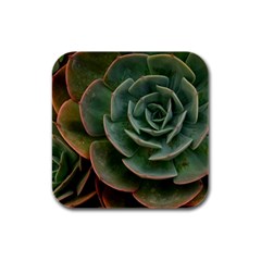 Green Orchid Plant Pattern Rubber Square Coaster (4 Pack)