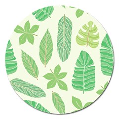Watercolor Banana Leaves  Magnet 5  (round) by ConteMonfrey
