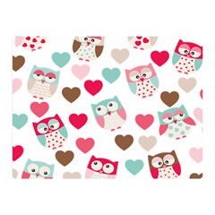 Lovely Owls Double Sided Flano Blanket (mini)  by ConteMonfrey