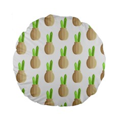 Succulent Vases  Standard 15  Premium Round Cushions by ConteMonfrey