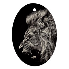 Angry Male Lion Ornament (oval)