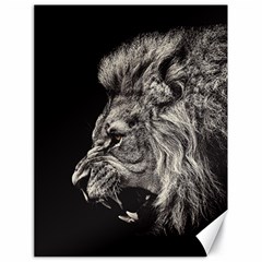 Angry Male Lion Canvas 18  X 24  by Jancukart