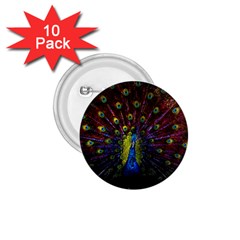 Beautiful Peacock Feather 1 75  Buttons (10 Pack)