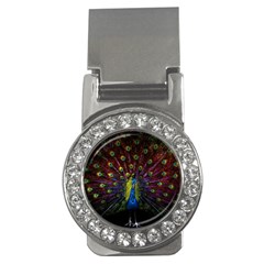 Beautiful Peacock Feather Money Clips (cz) 