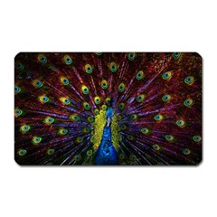 Beautiful Peacock Feather Magnet (rectangular)