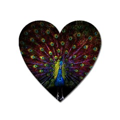 Beautiful Peacock Feather Heart Magnet