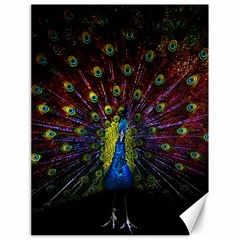 Beautiful Peacock Feather Canvas 18  X 24  by Jancukart