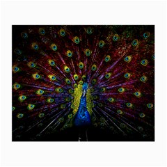 Beautiful Peacock Feather Small Glasses Cloth (2 Sides)