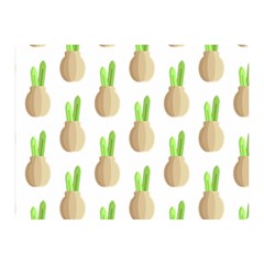 Succulent Vases  Double Sided Flano Blanket (mini) by ConteMonfreyShop