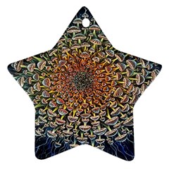 Mirror Fractal Star Ornament (two Sides) by Sparkle