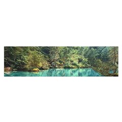 Blausee Naturpark - Switzerland Oblong Satin Scarf (16  X 60 ) by ConteMonfrey