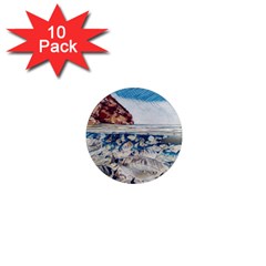 Fishes In Lake Garda 1  Mini Magnet (10 pack) 