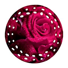 Water Rose Pink Background Flower Round Filigree Ornament (two Sides)