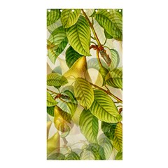 Pear Fruit Tree Organic Pattern Shower Curtain 36  X 72  (stall)  by Wegoenart