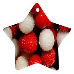 Beads Ornament (star)